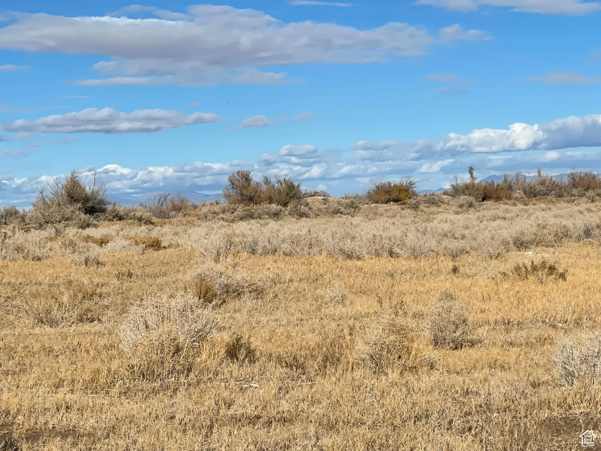 View of undeveloped land