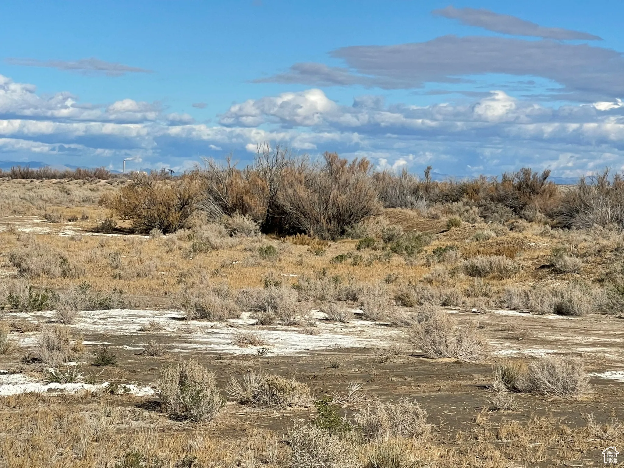 View of undeveloped land