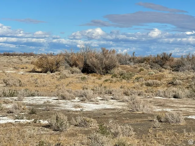 View of undeveloped land