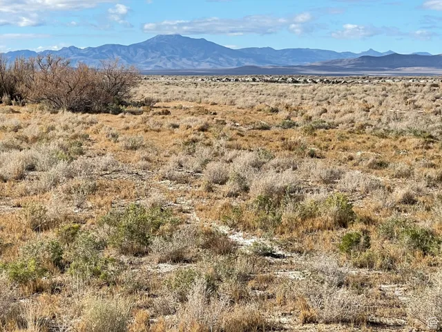 View of mountain backdrop