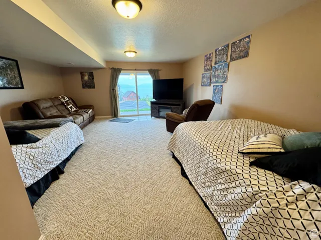 Bedroom featuring light colored carpet, access to outside, and a textured ceiling