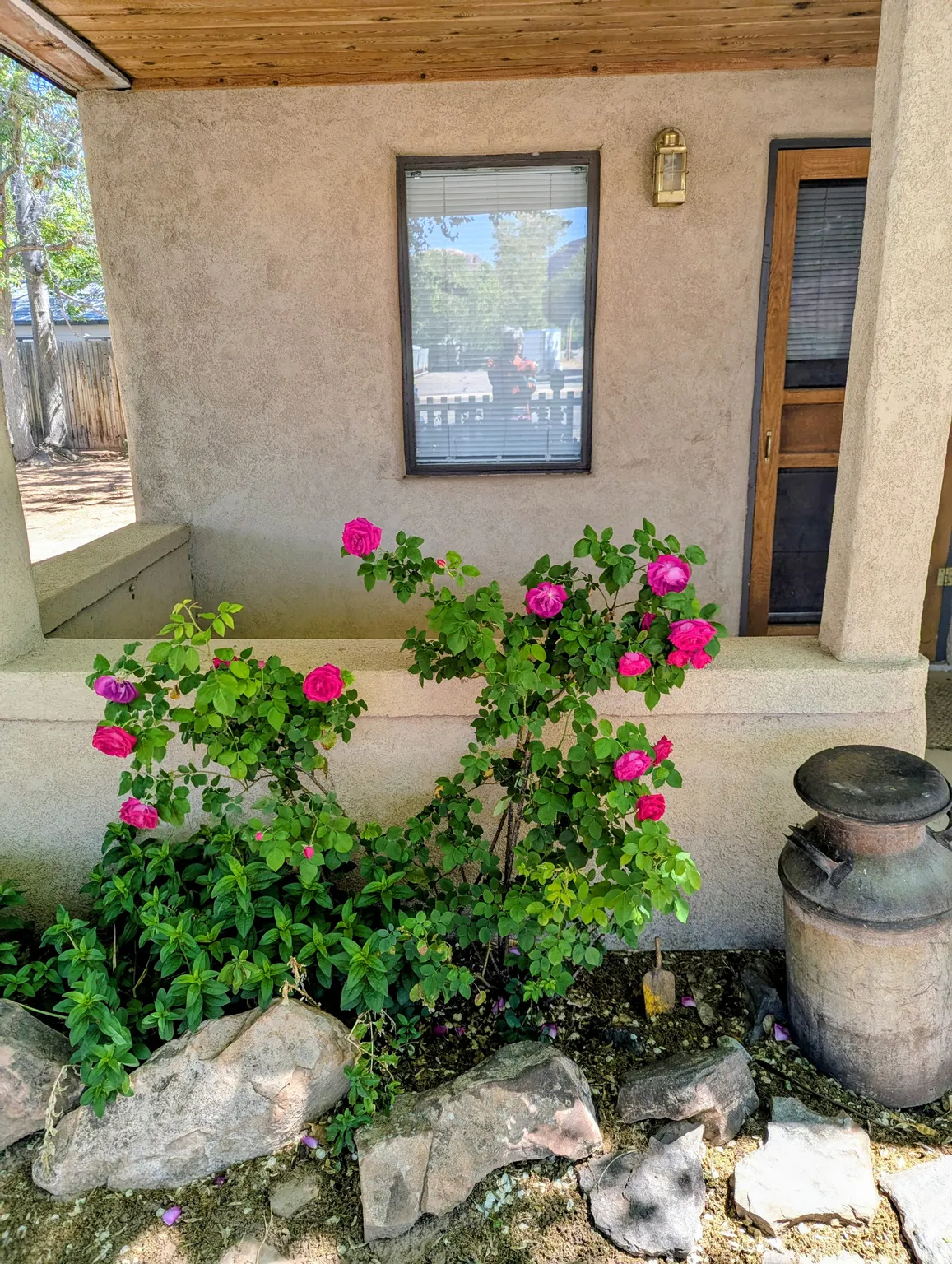 Exterior view of stucco siding