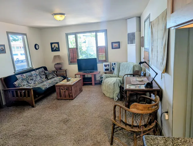 Living room featuring carpet floors and a heating unit