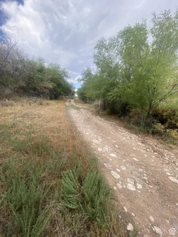 View of dirt / gravel road