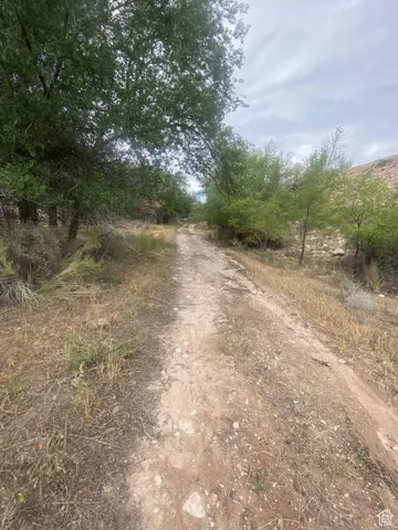 View of dirt / gravel road