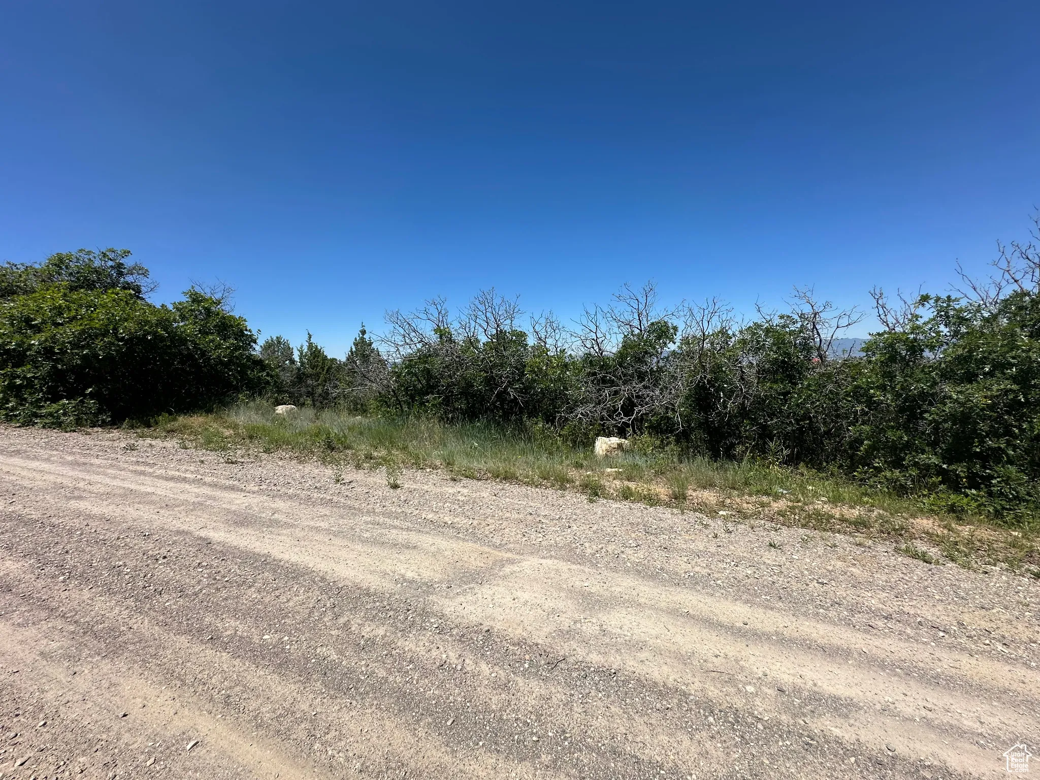 View of undeveloped land