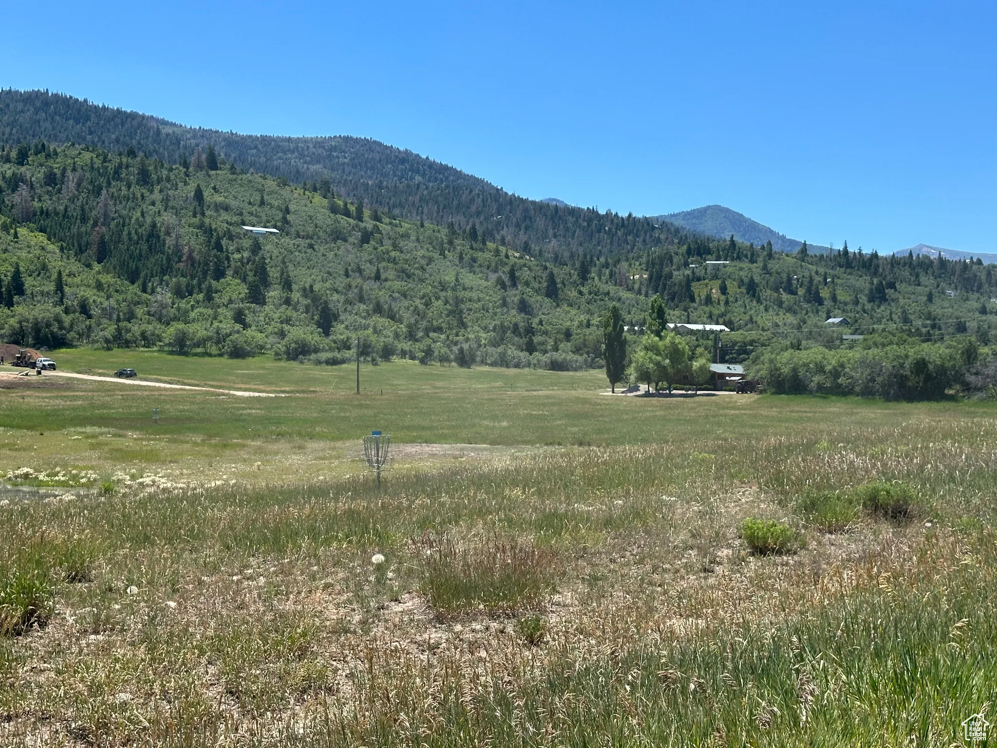 Mountain view with a forest and rural landscape