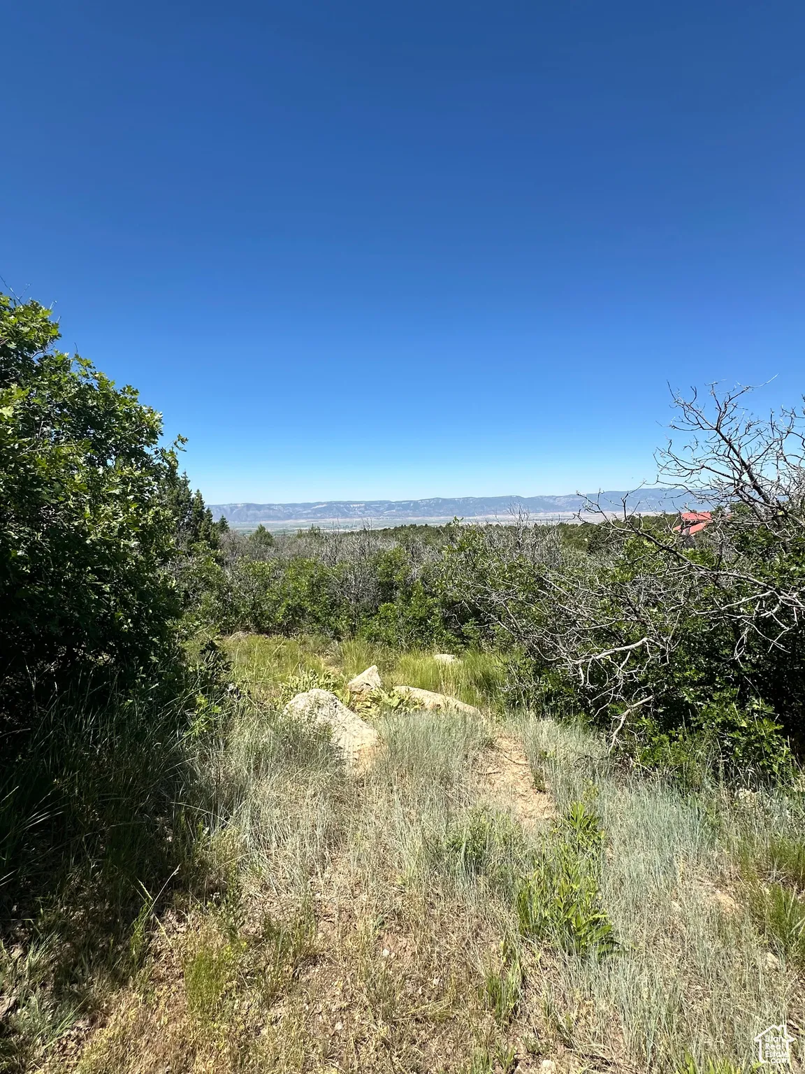 View of nature