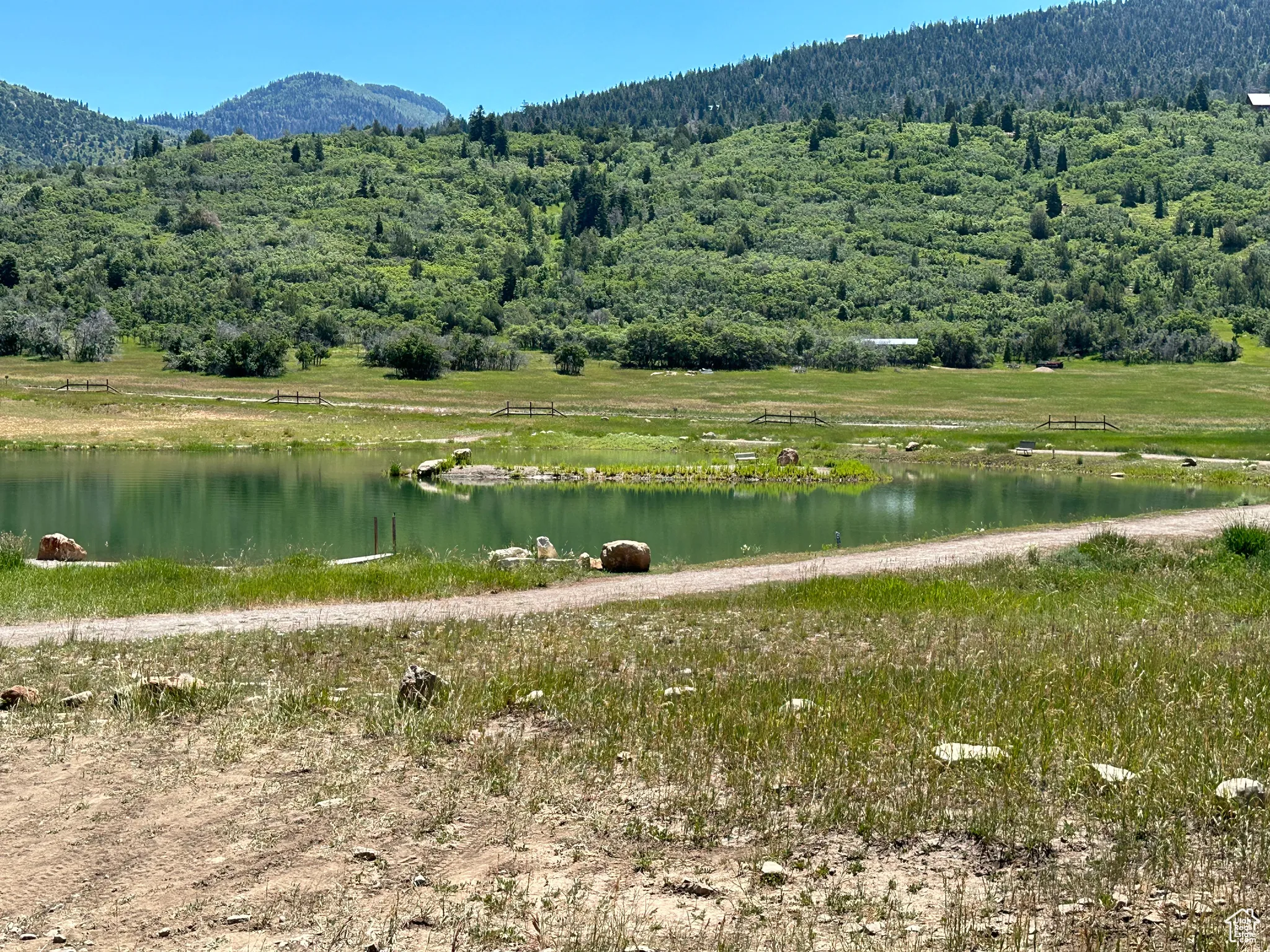 Water view with a forest and a mountain backdrop