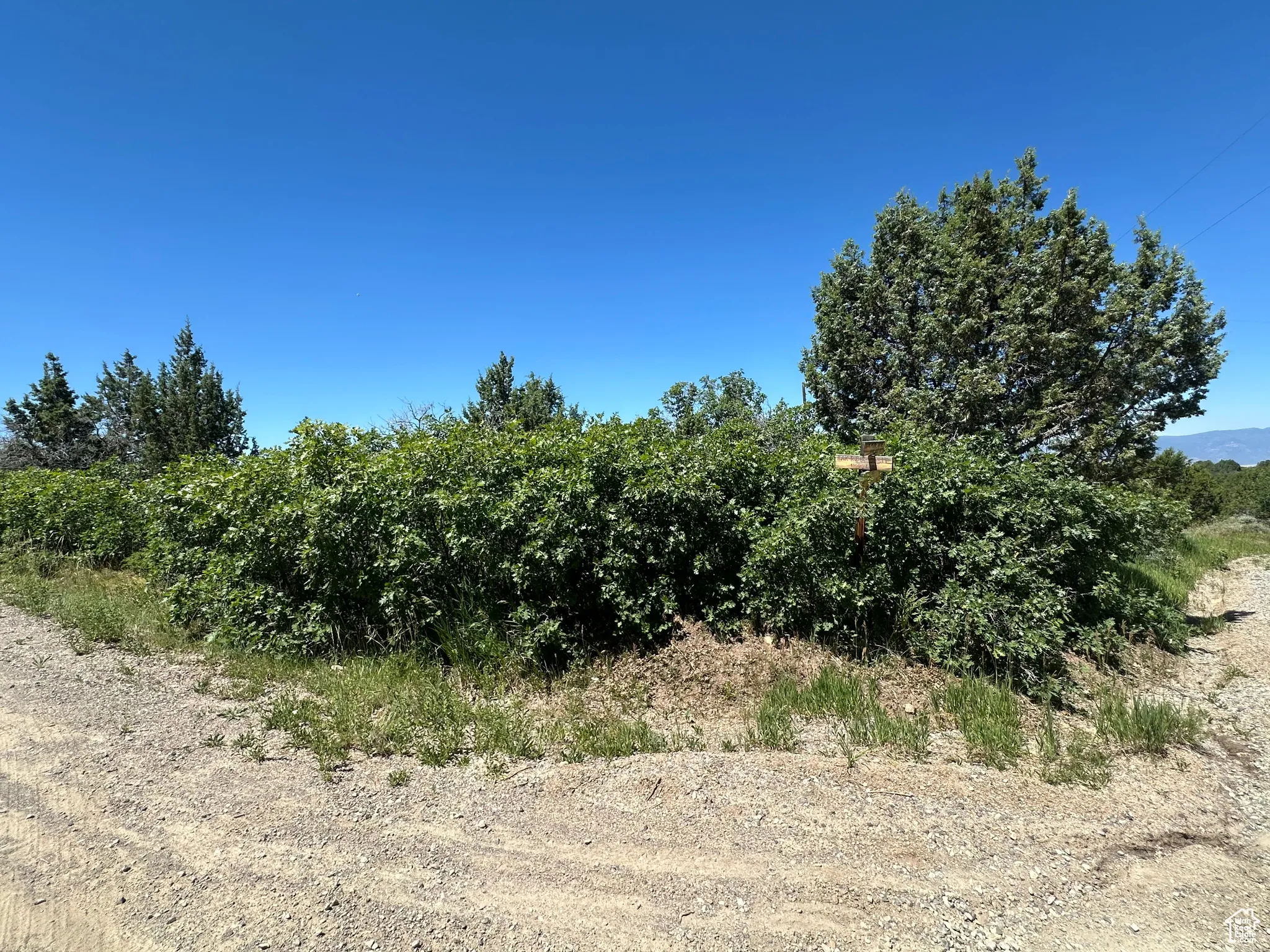 View of nature