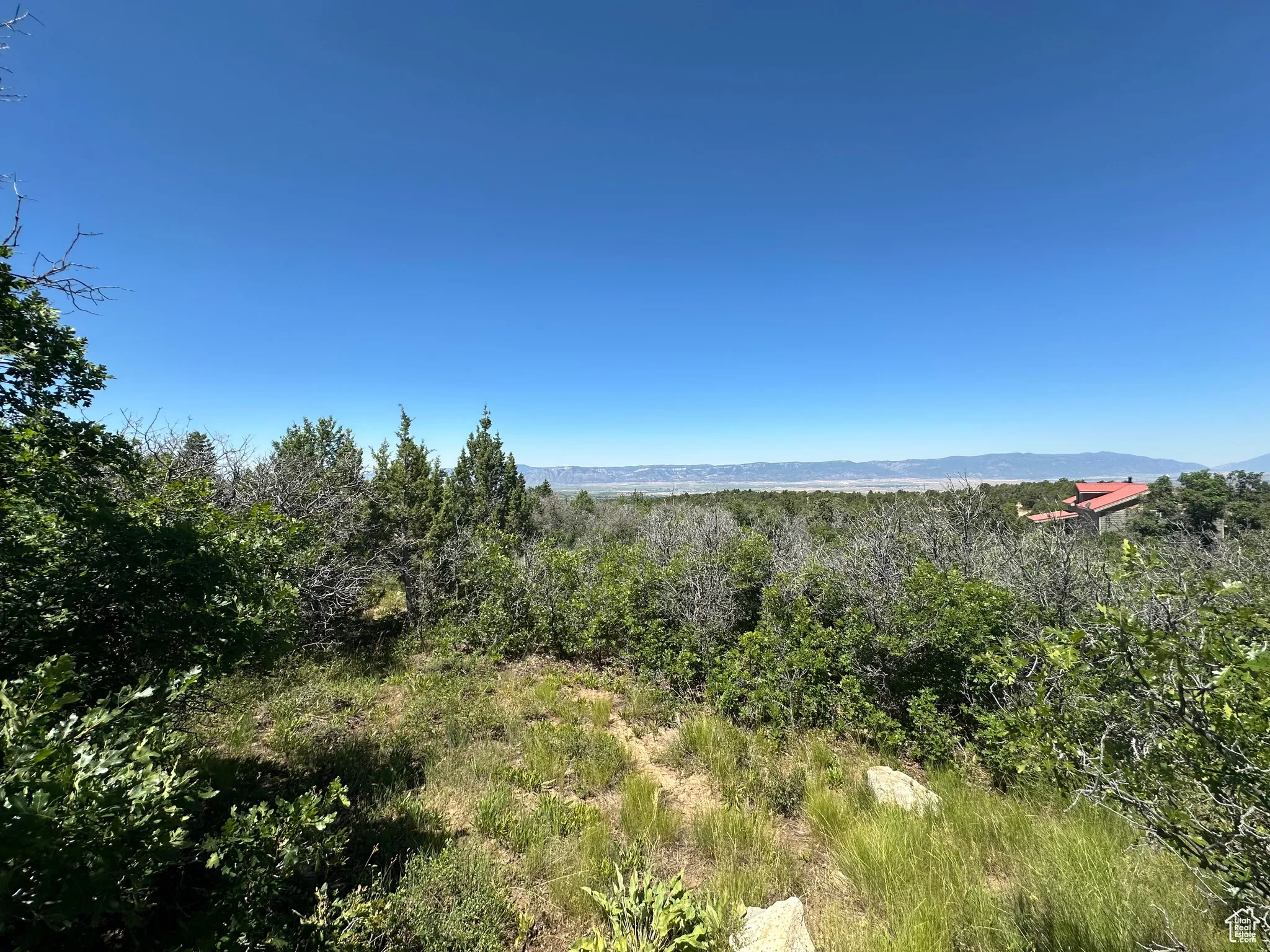 View of local wilderness featuring a mountain backdrop