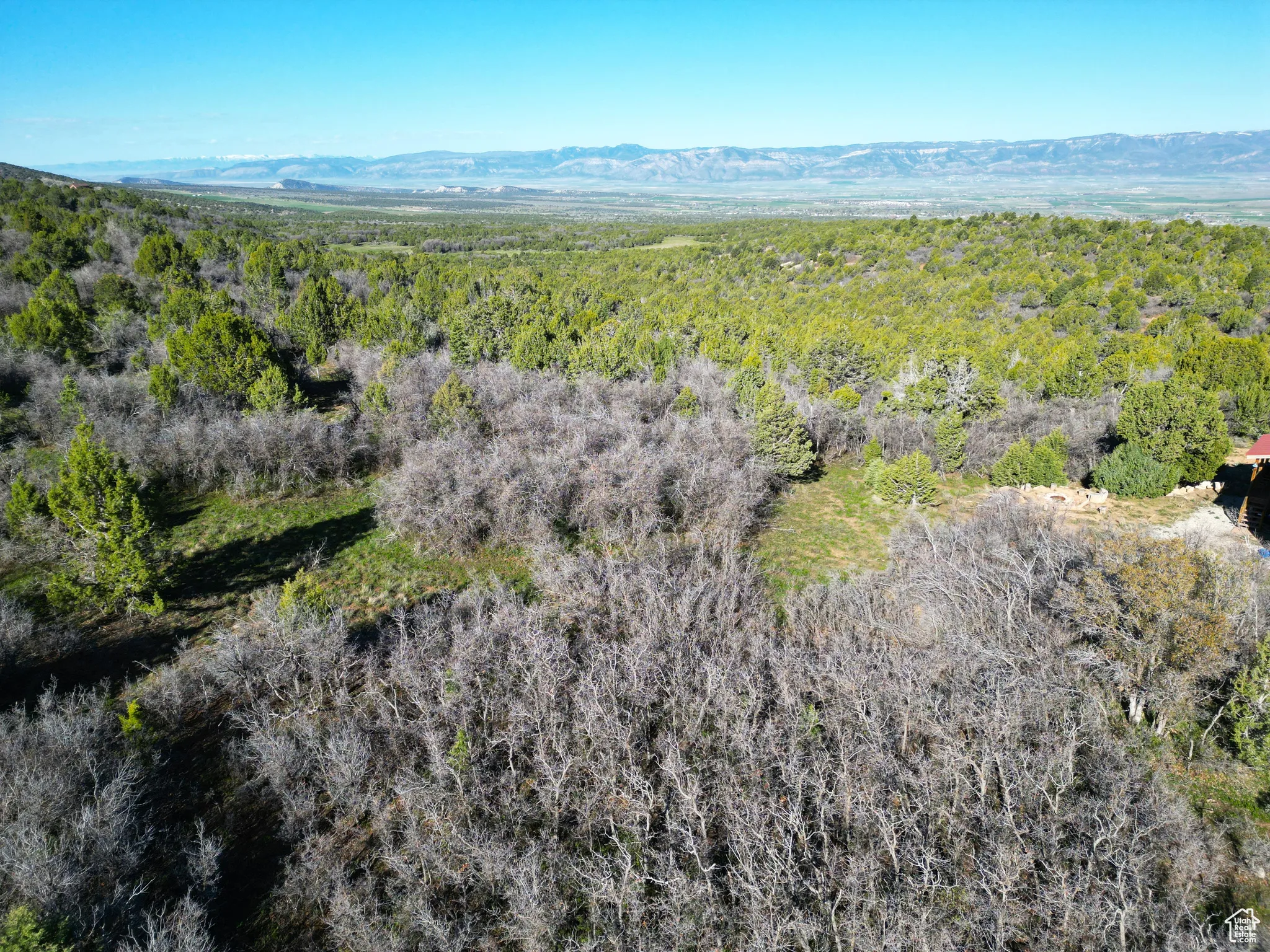 Drone / aerial view of a heavily wooded area and a mountainous background