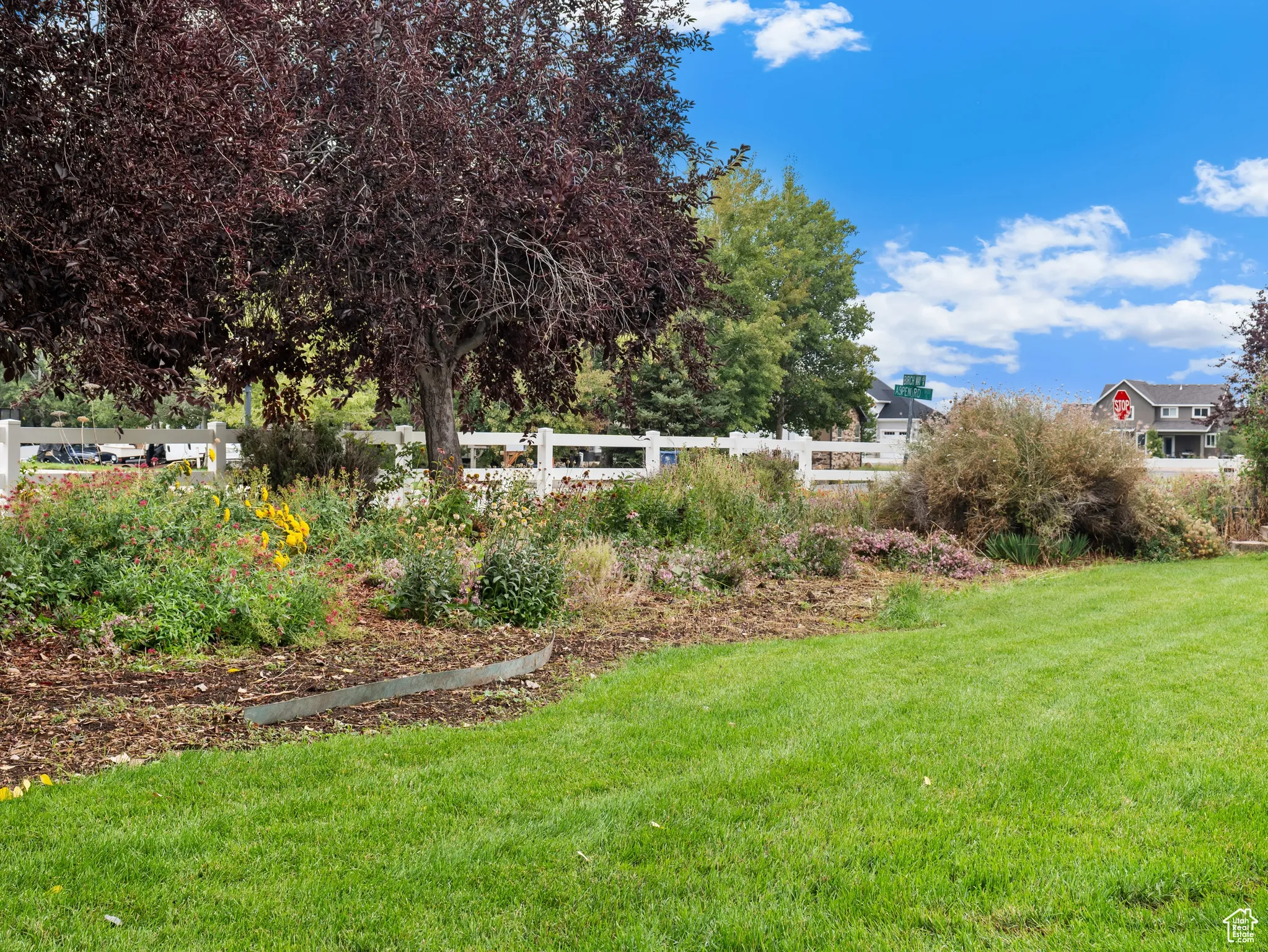West Side Yard