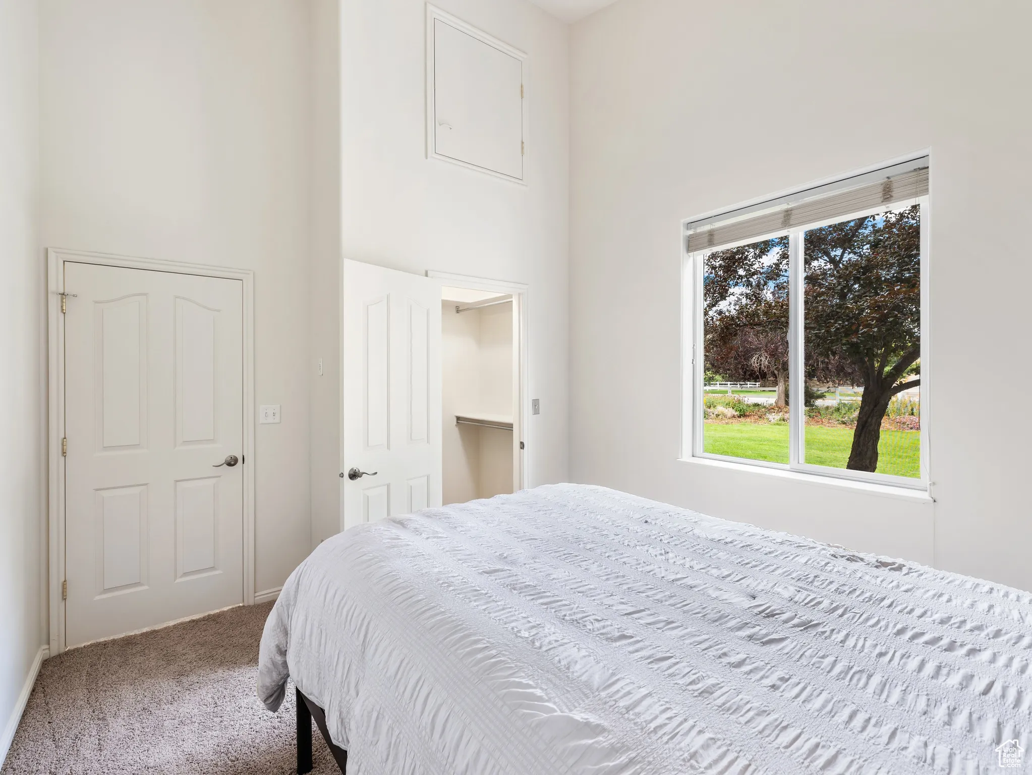 Bedroom featuring carpet floors, a towering ceiling, and a walk in closet
