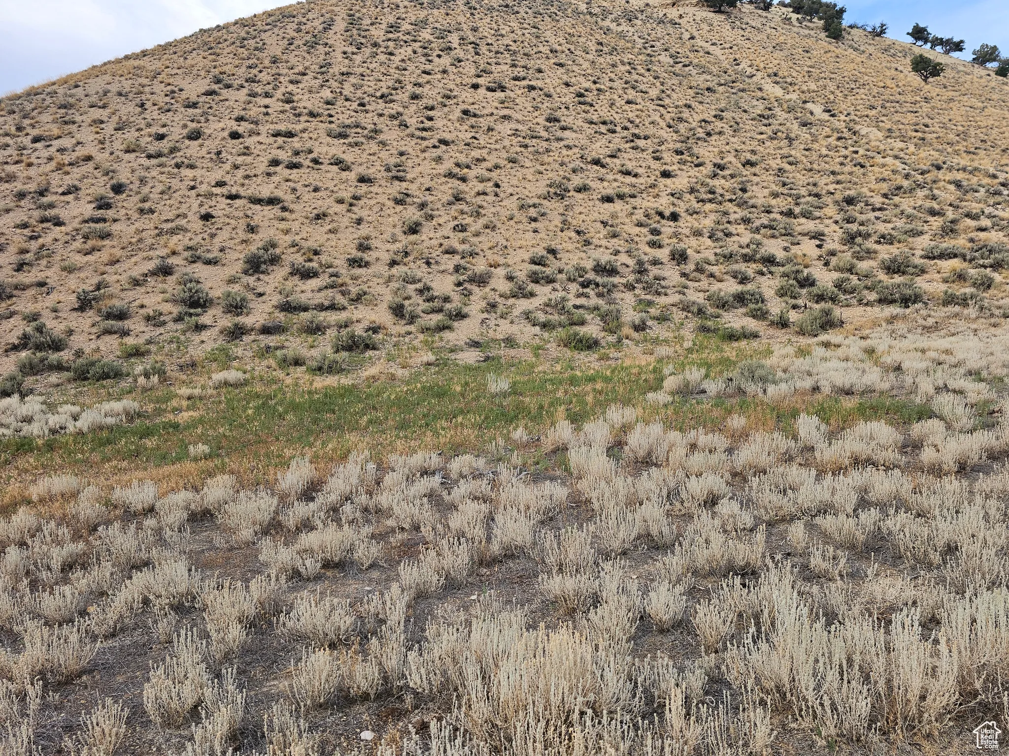 View of mountain backdrop