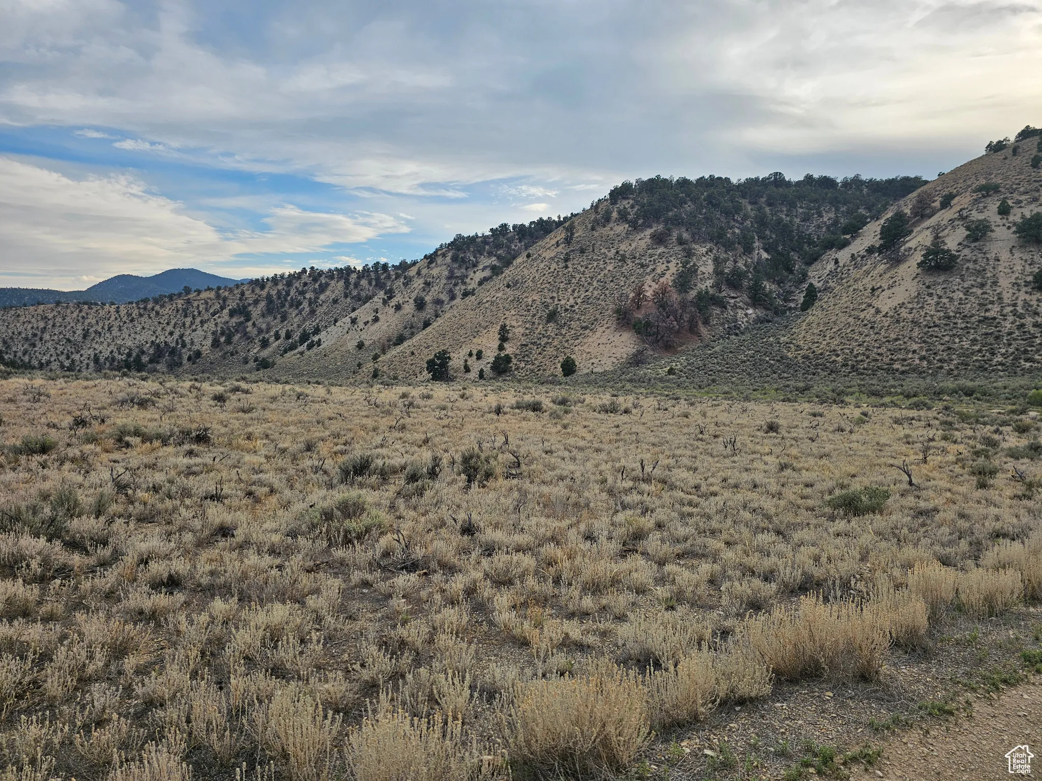 View of mountain background