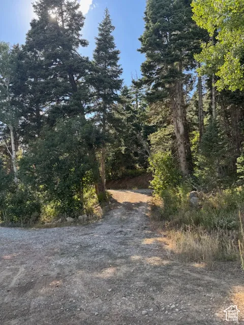 View of street featuring a forest view