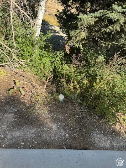 View of cleanout access for the septic tank.