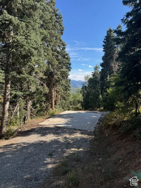 View of concrete pad featuring a forest view