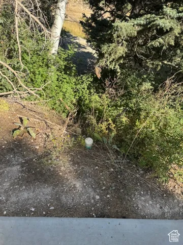 View of cleanout access for the septic tank.