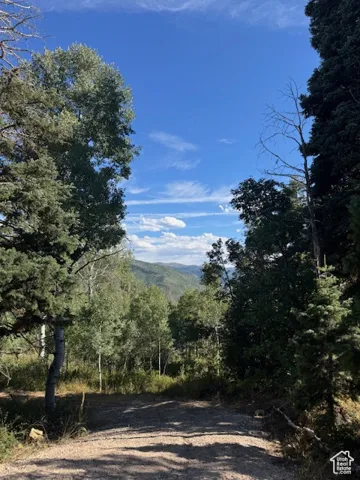 View of mountain backdrop featuring a heavily wooded area