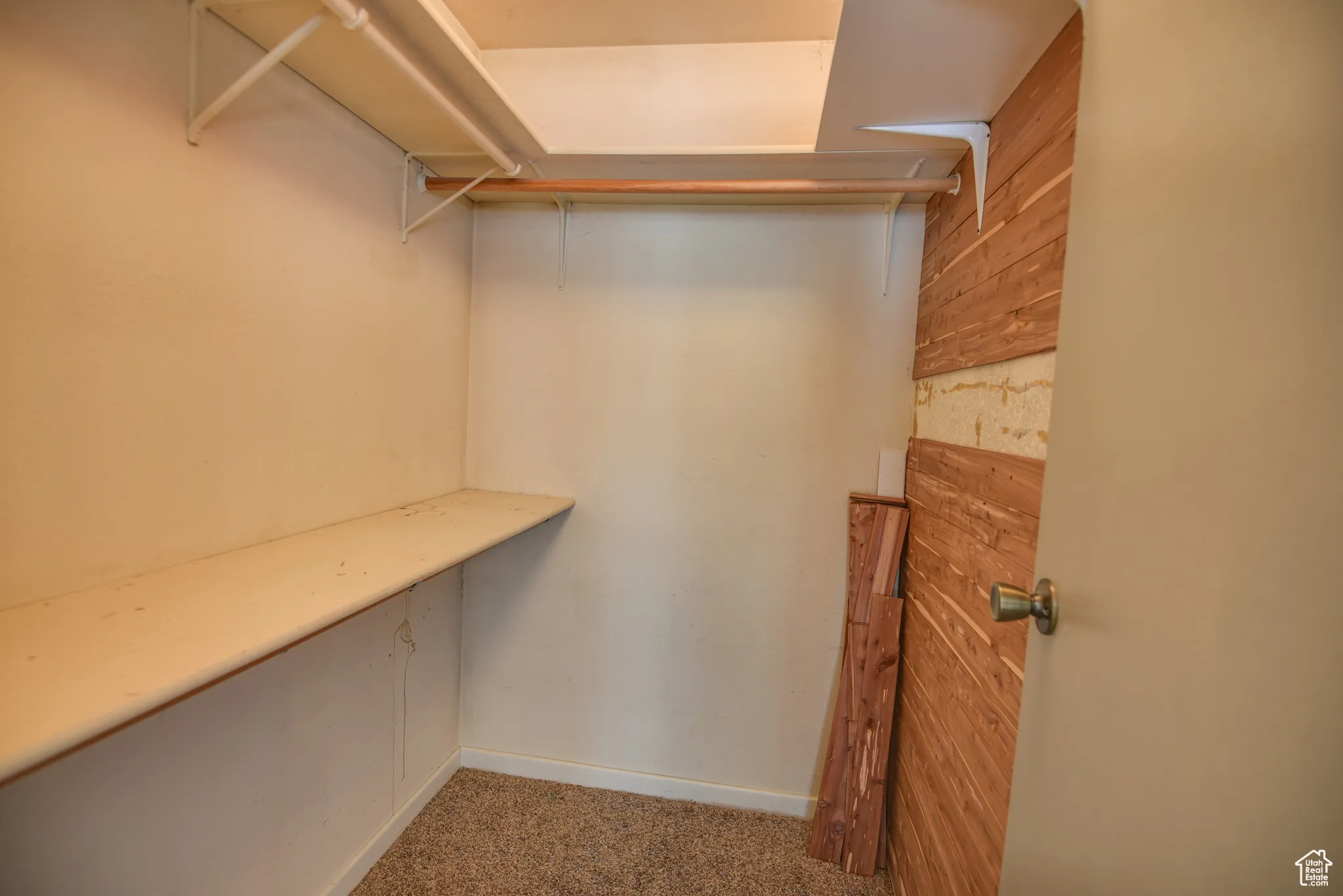 Walk in closet featuring carpet