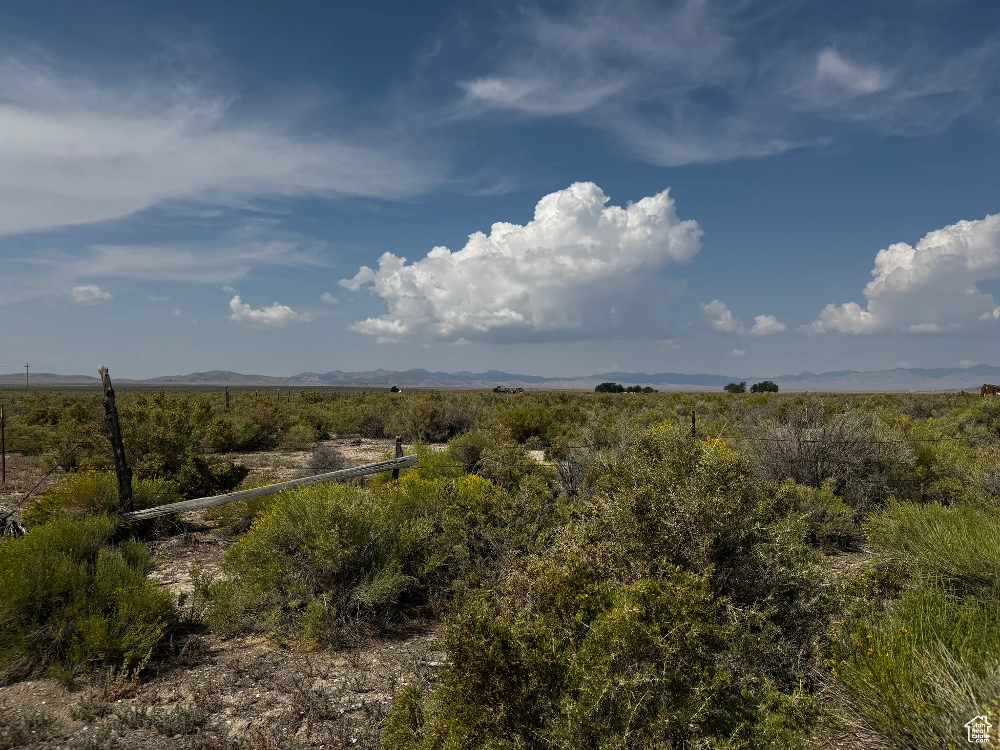 View of nature