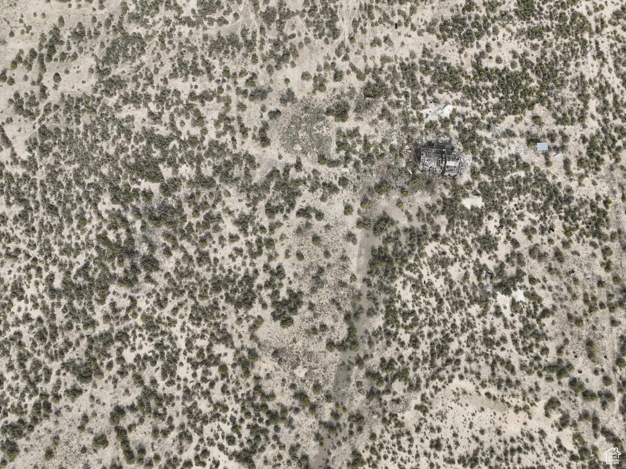 Detailed view
