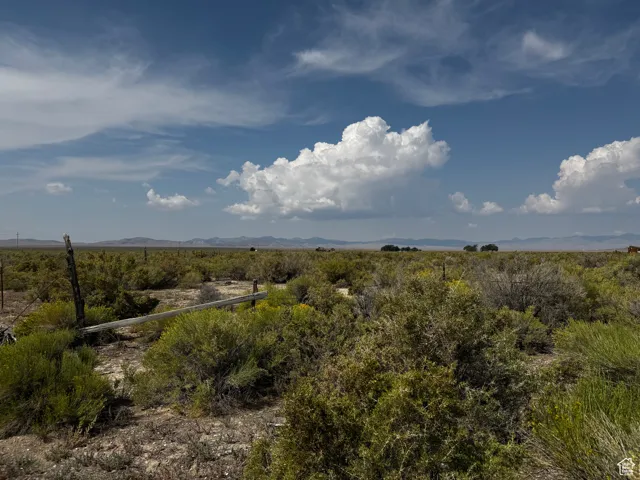 View of nature