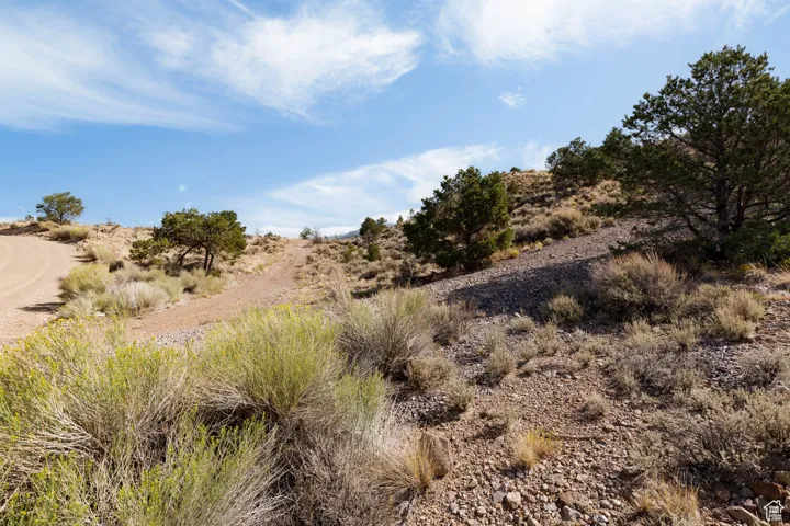 View of local wilderness