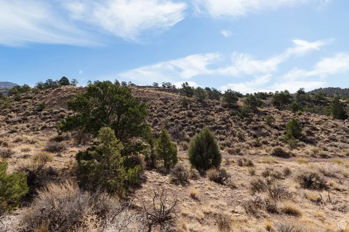 View of undeveloped land