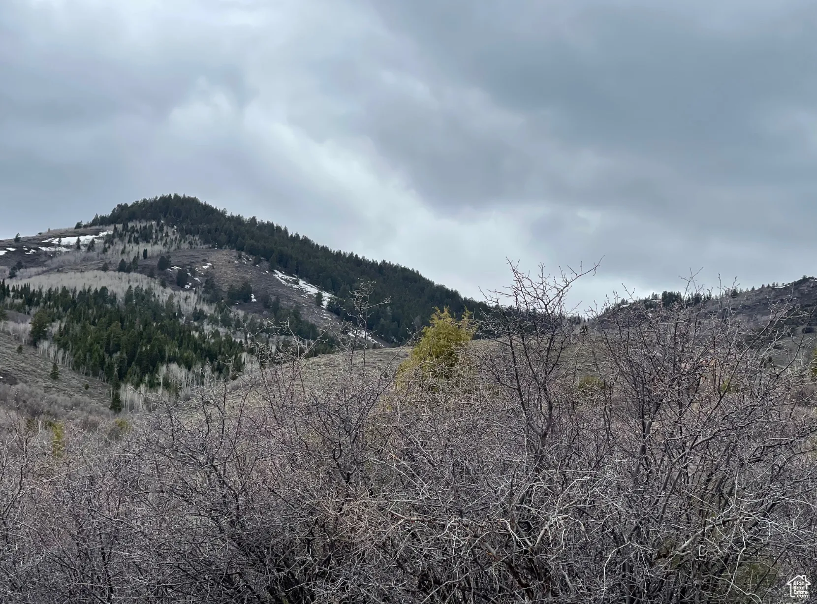 View of mountain background