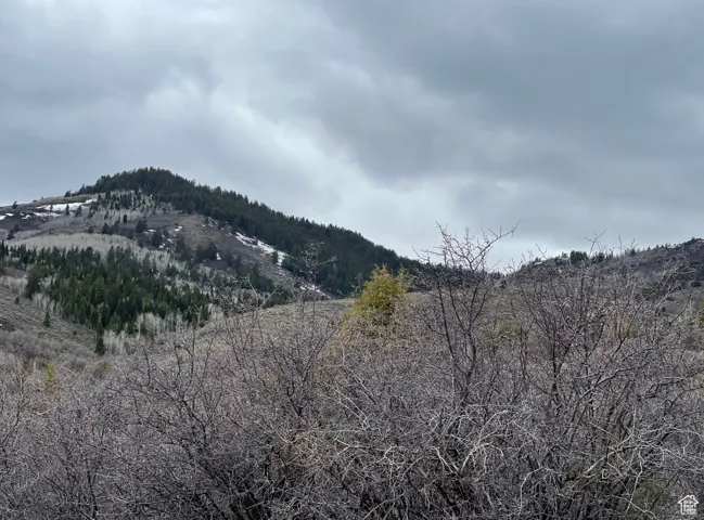 View of mountain background