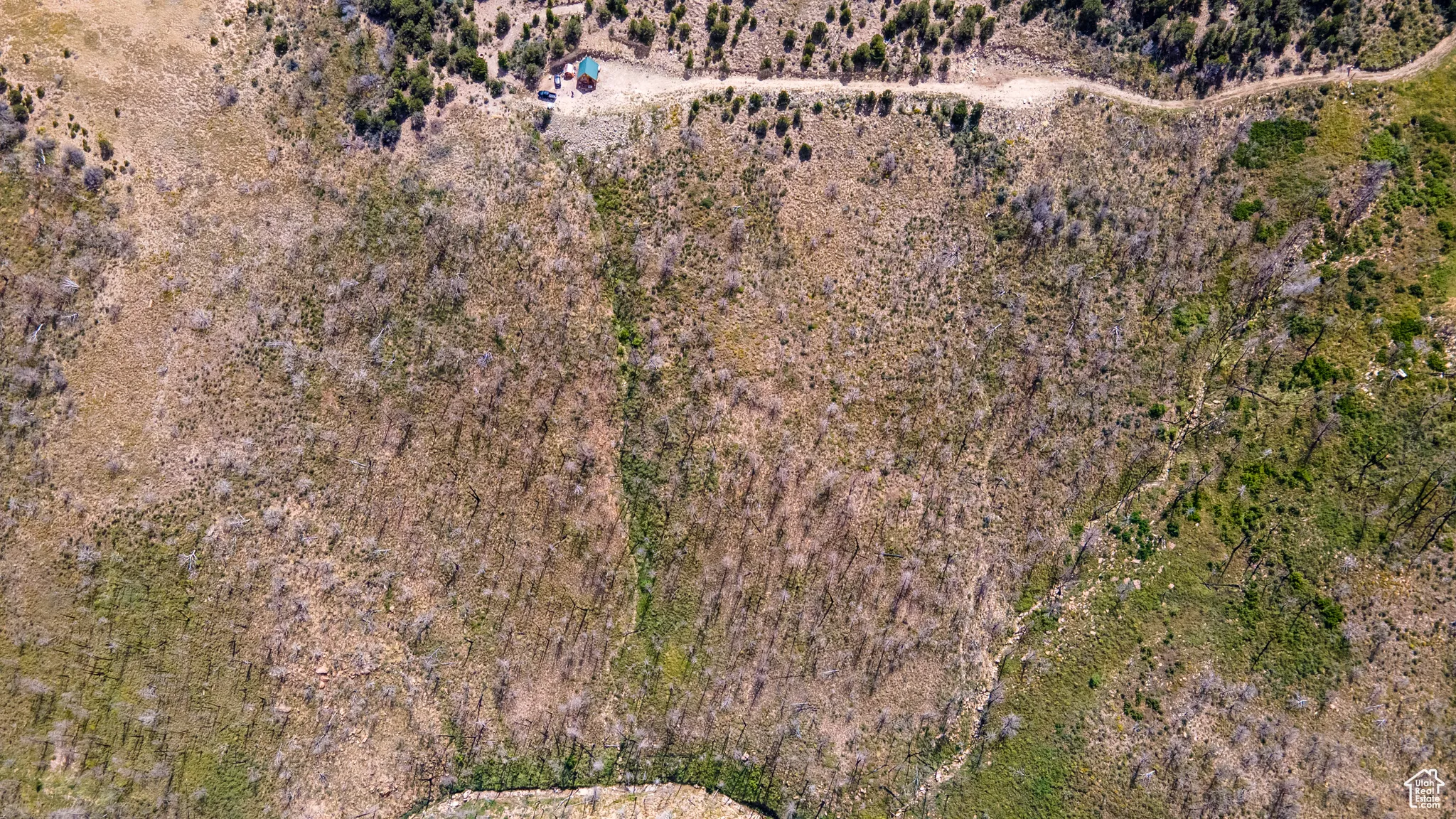 Aerial view of property and surrounding area