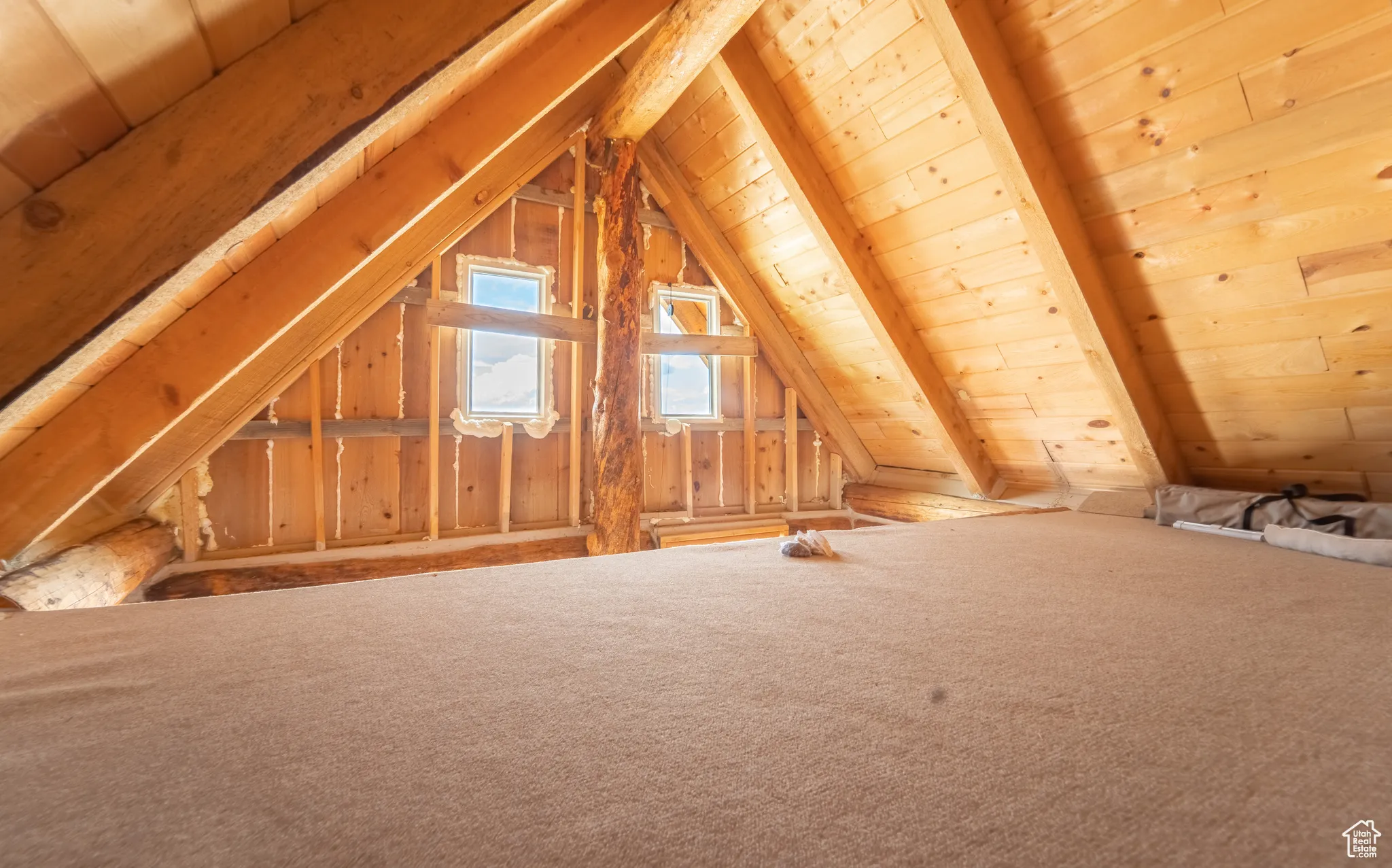 View of unfinished attic