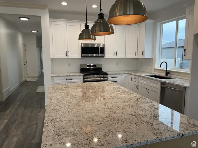 Kitchen with white cabinets, stainless steel appliances, dark wood finished floors, recessed lighting, and light stone countertops