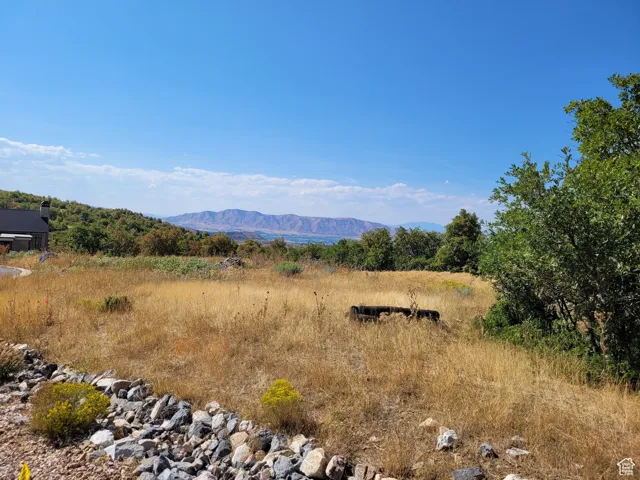 View of mountain background