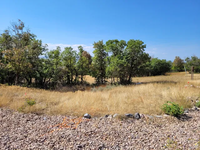 View of local wilderness with rural landscape