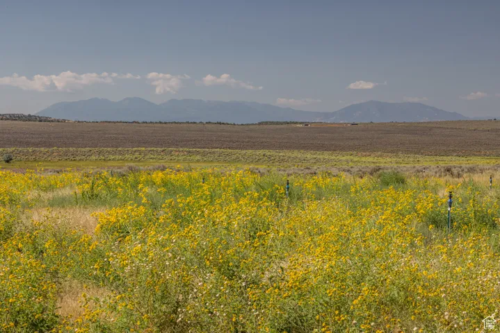 View of mountain backdrop with rural landscape