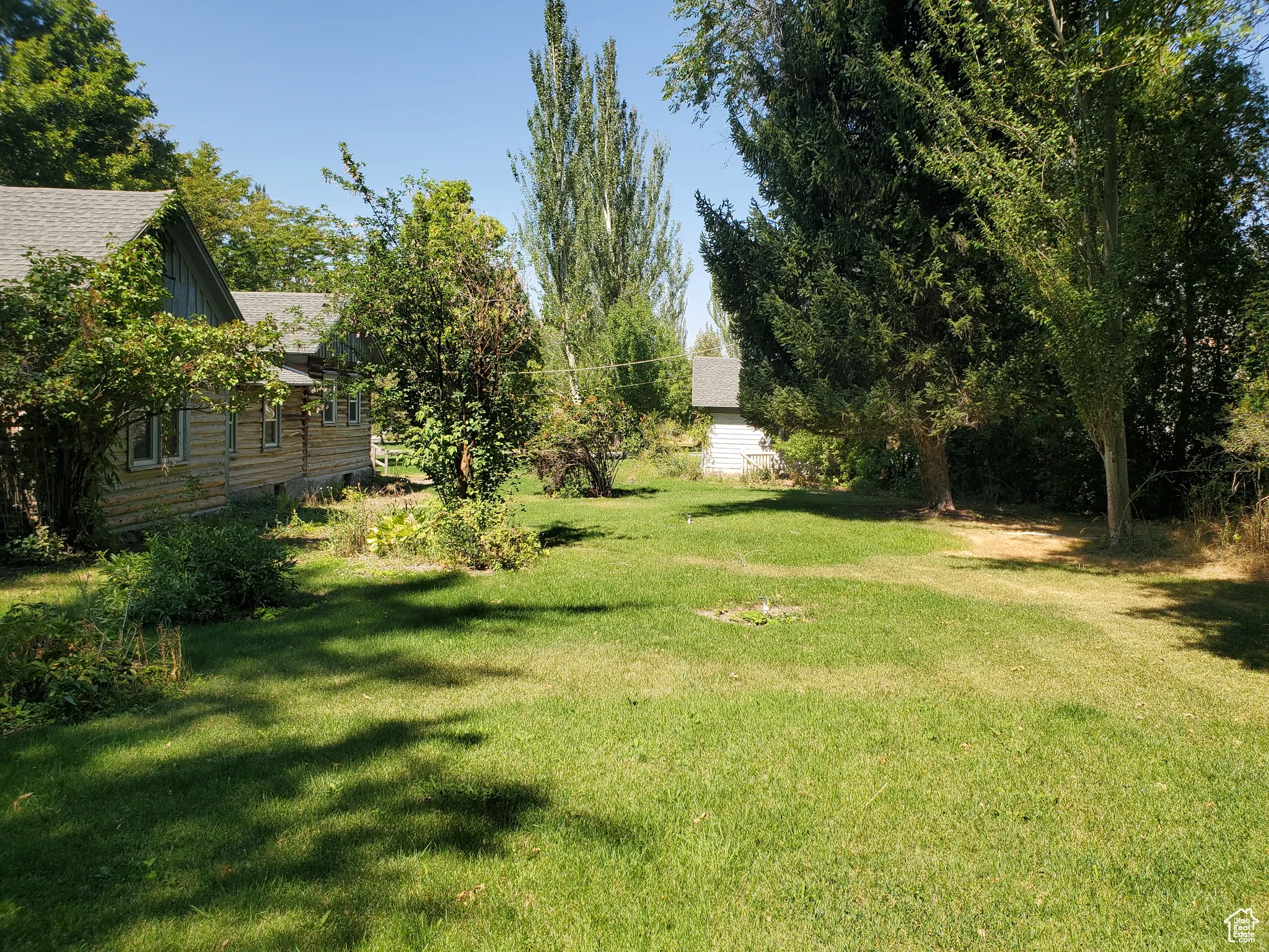 View of green lawn