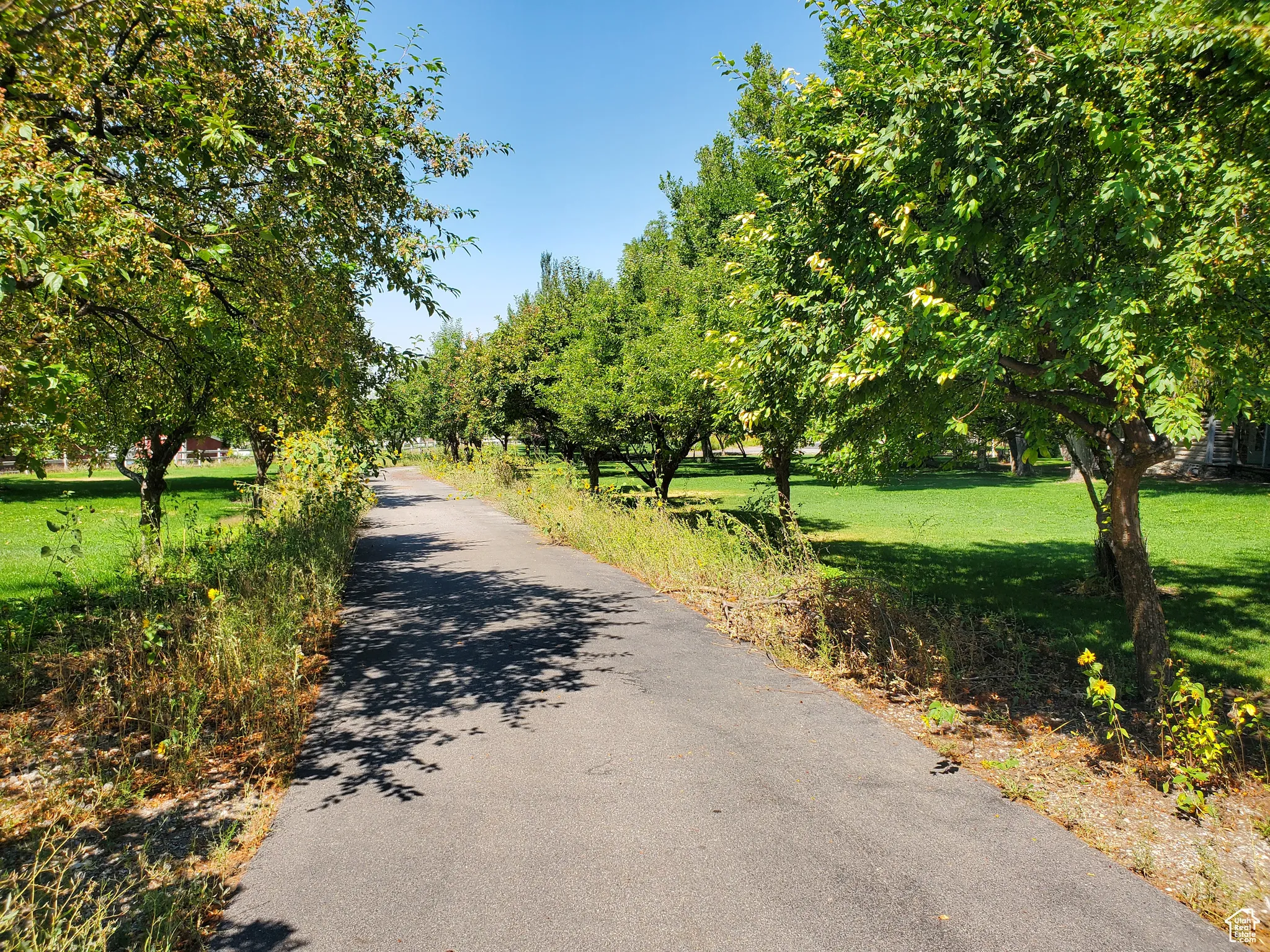 View of asphalt road