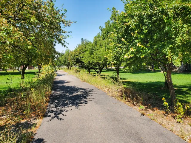 View of asphalt road