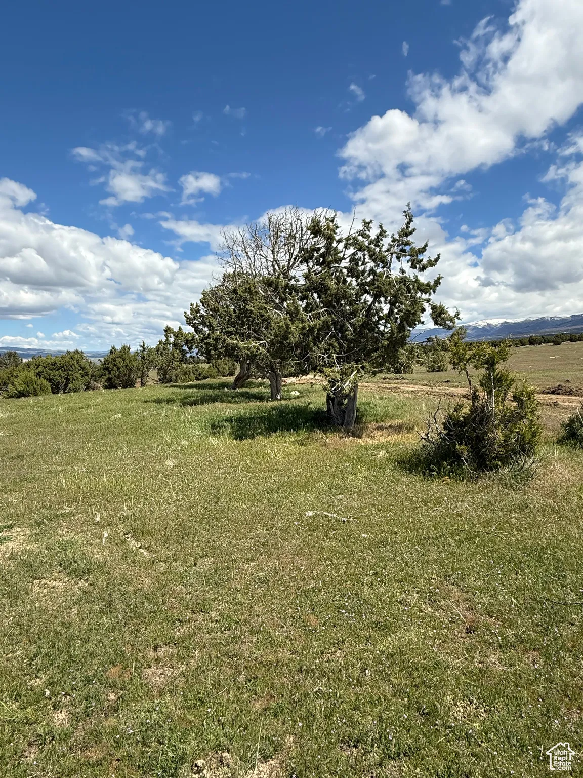View of grassy yard featuring a rural view