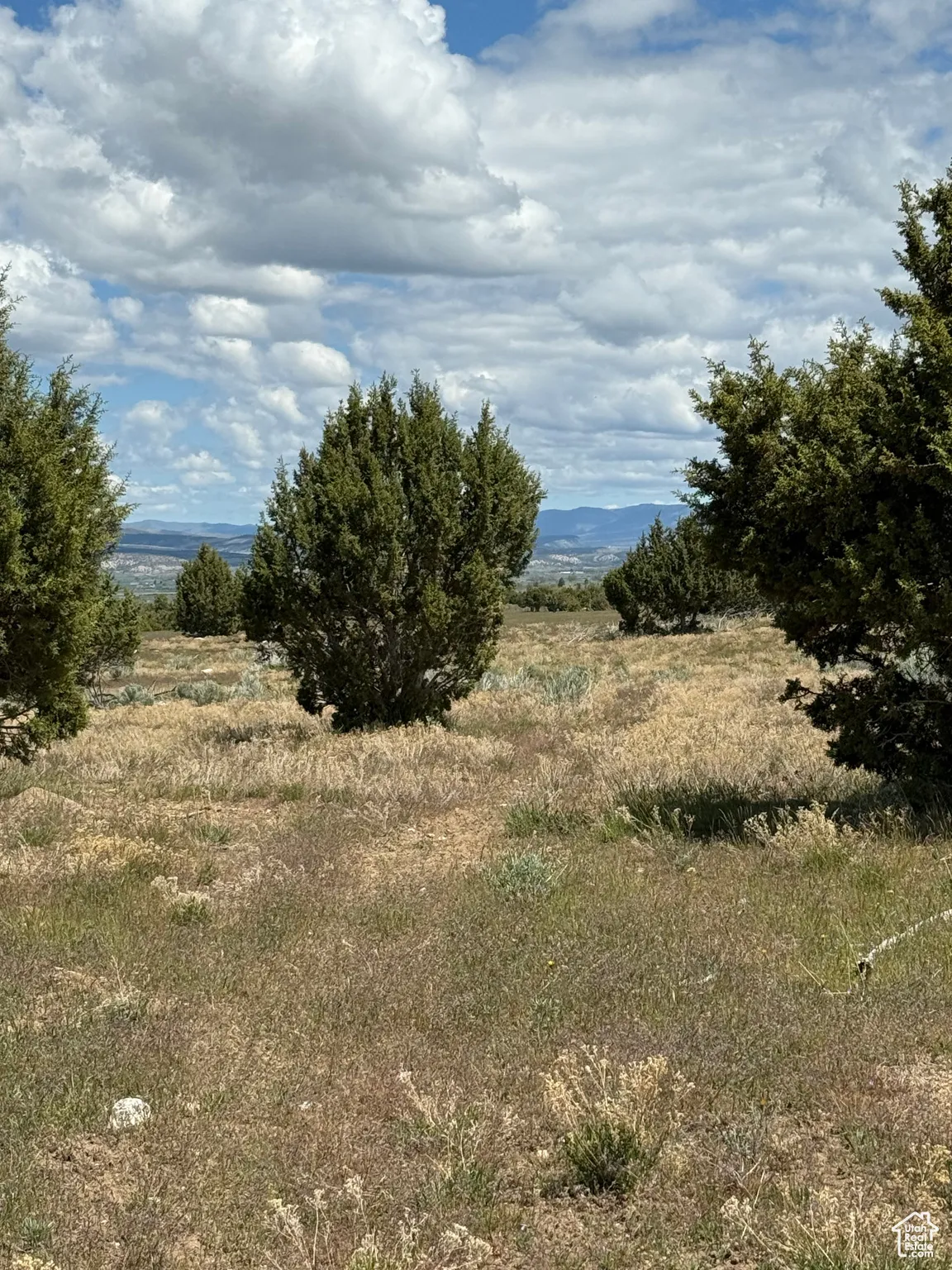 View of undeveloped land