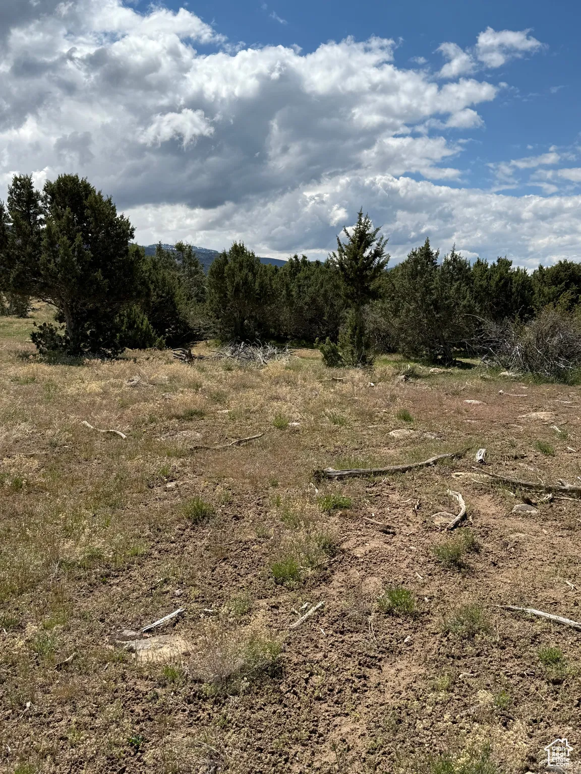 View of local wilderness featuring rural landscape