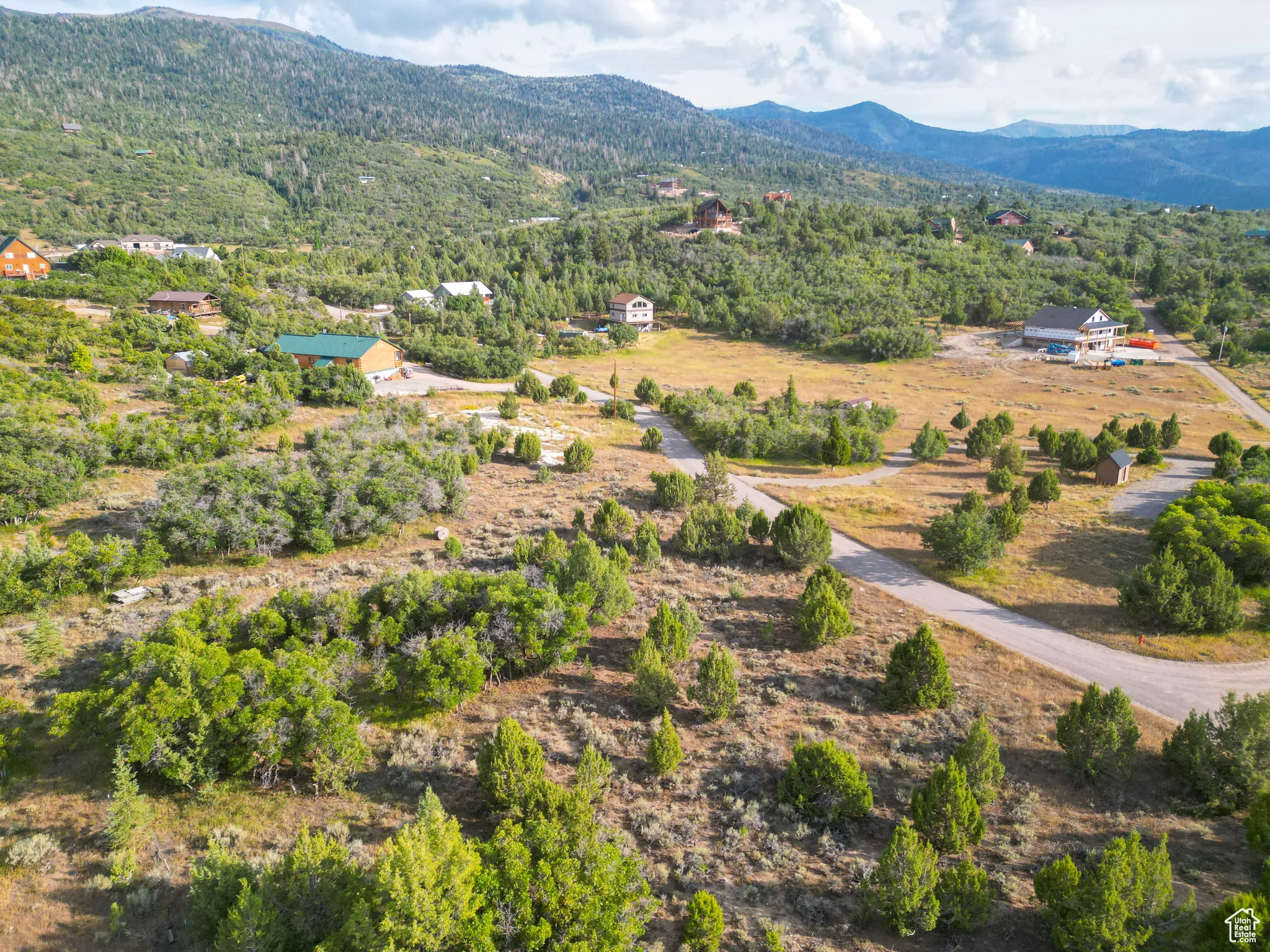 Aerial view of a mountain backdrop and a heavily wooded area
