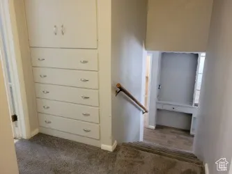 Staircase with carpet flooring and built-in cabinets