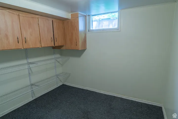 Spacious closet featuring  colored carpet