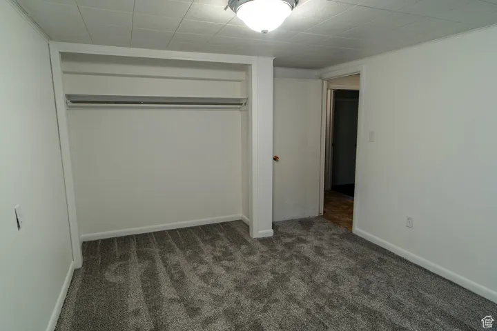bedroom featuring carpet and a closet