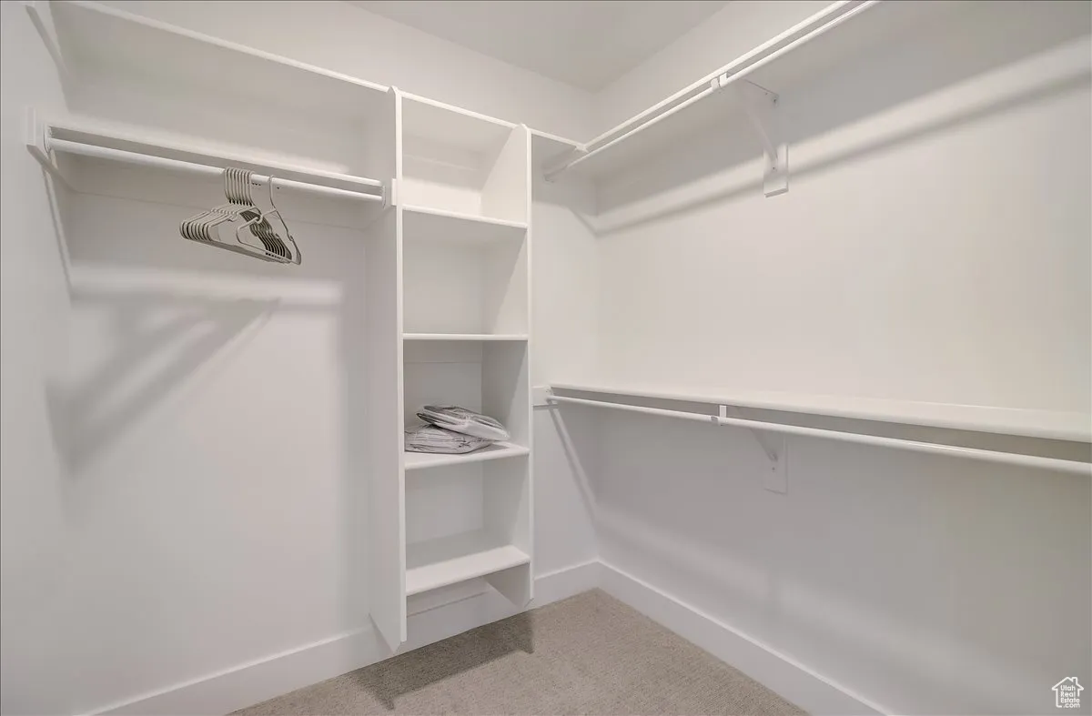 Spacious closet featuring light carpet